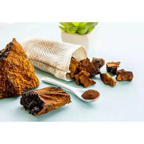 2025 Guide to Chaga Extract: What It Is, Its Benefits, and Where to Use It?